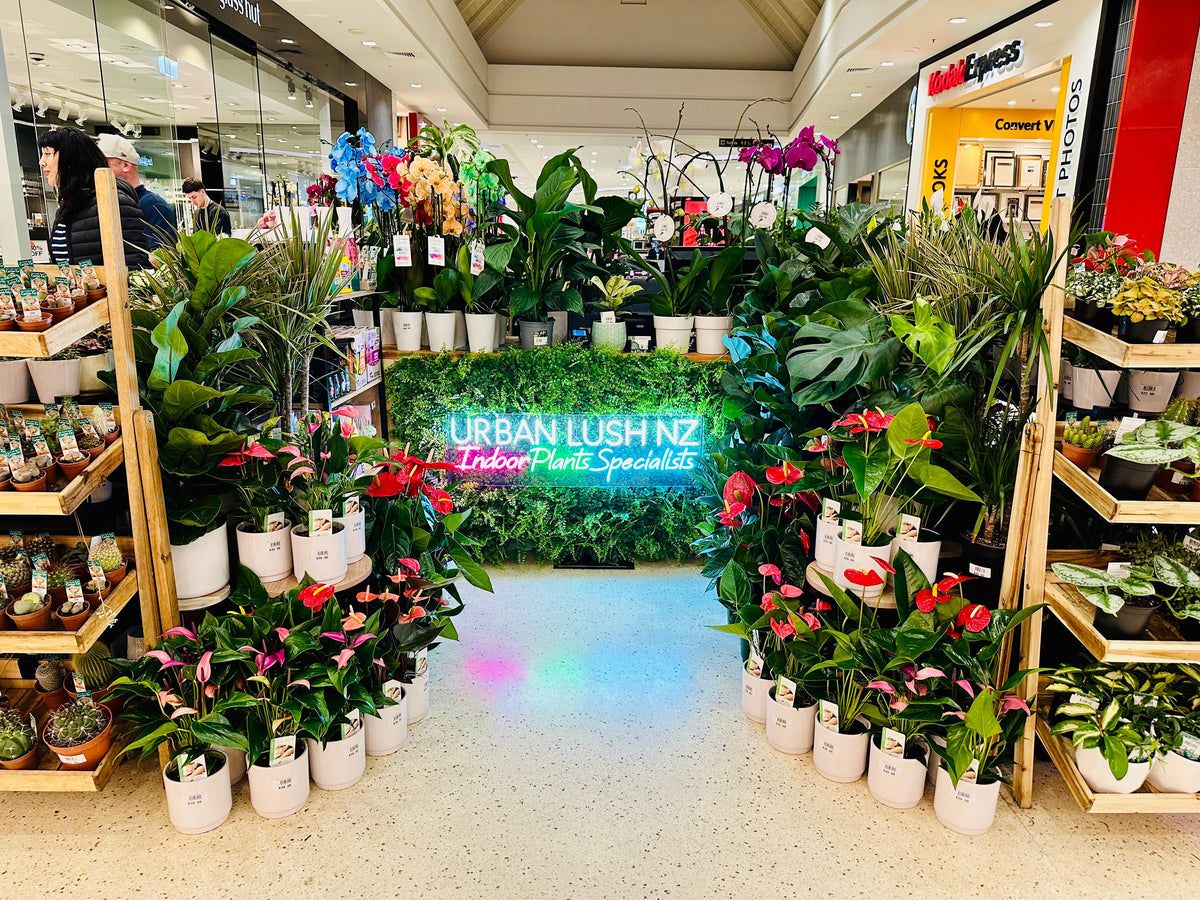 All About Biophilic Design