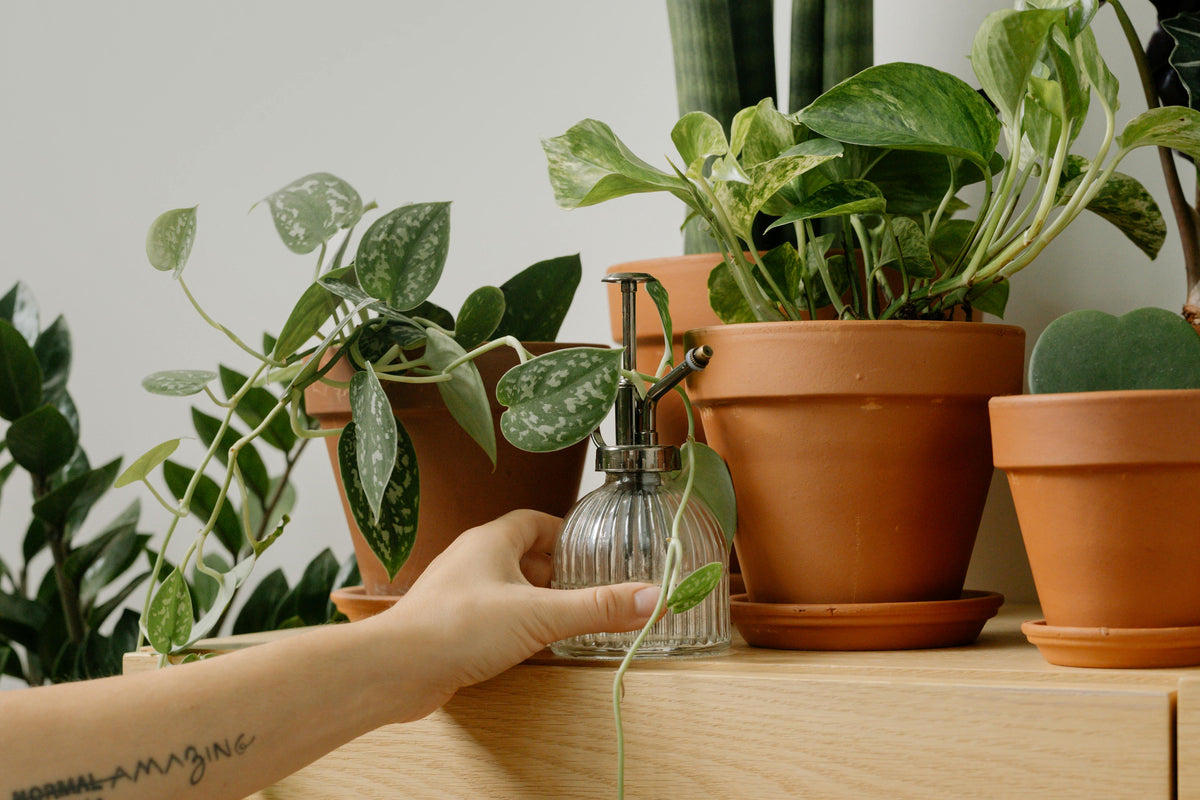 Planters & Pots