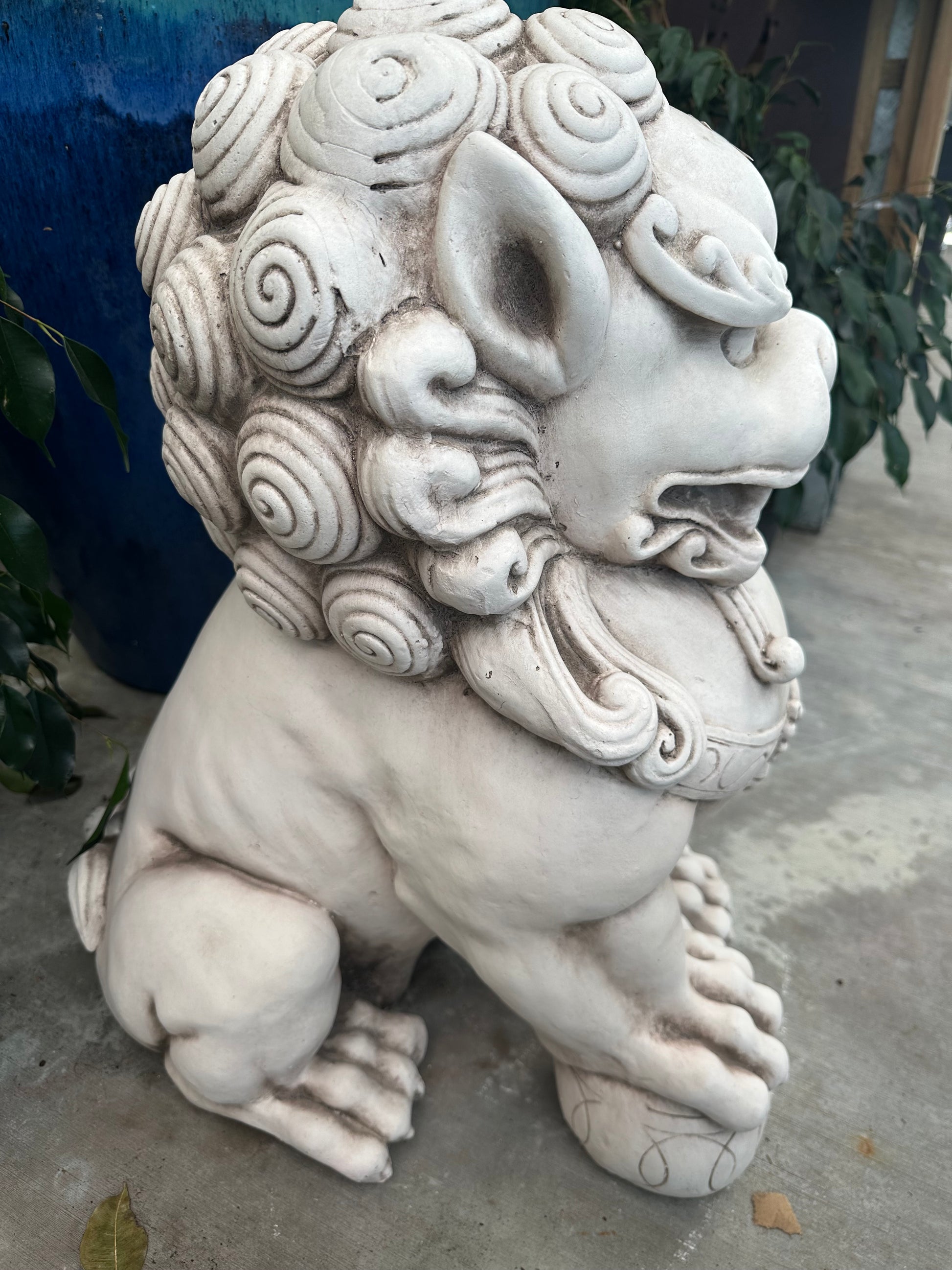Chinese Lion Feng Shui (LEFT) 67.5CM - Urban Lush NZ