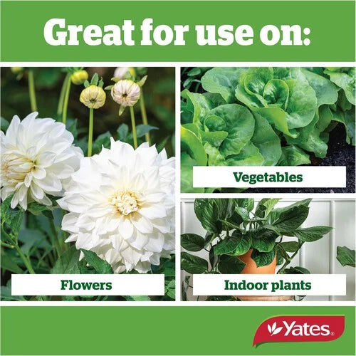 yates thrive indoor plant food Yates | Yates Thrive All Purpose Liquid Plant Food 500ML