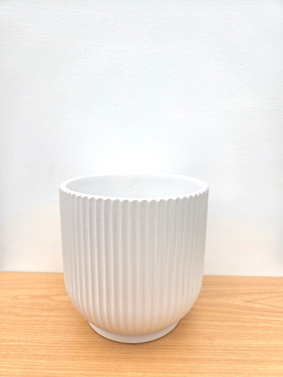 Textured Ribbed Ceramic Pot Maya Ribbed Ceramic Pot 14CM - White – Urban Lush NZ