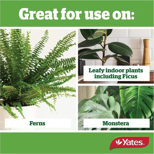 Thrive Indoor Plants & Ferns Dripper Pack of 5 - Urban Lush NZ