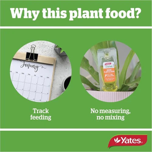 Thrive Indoor Plants & Ferns Dripper Pack of 5 - Urban Lush NZ