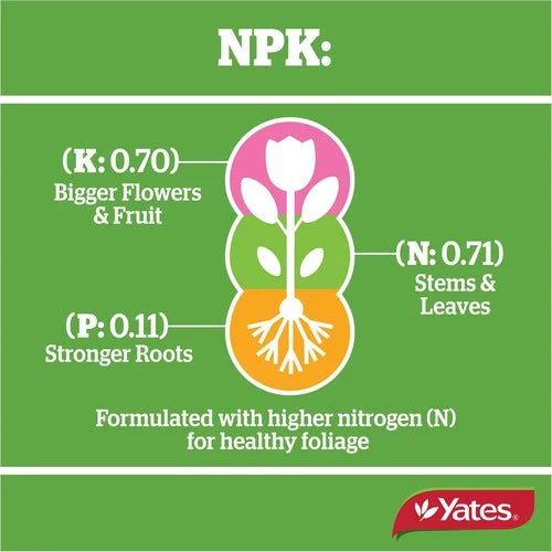 Thrive Indoor Plants & Ferns Dripper Pack of 5 - Urban Lush NZ