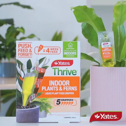 Thrive Indoor Plants & Ferns Dripper Pack of 5 - Urban Lush NZ