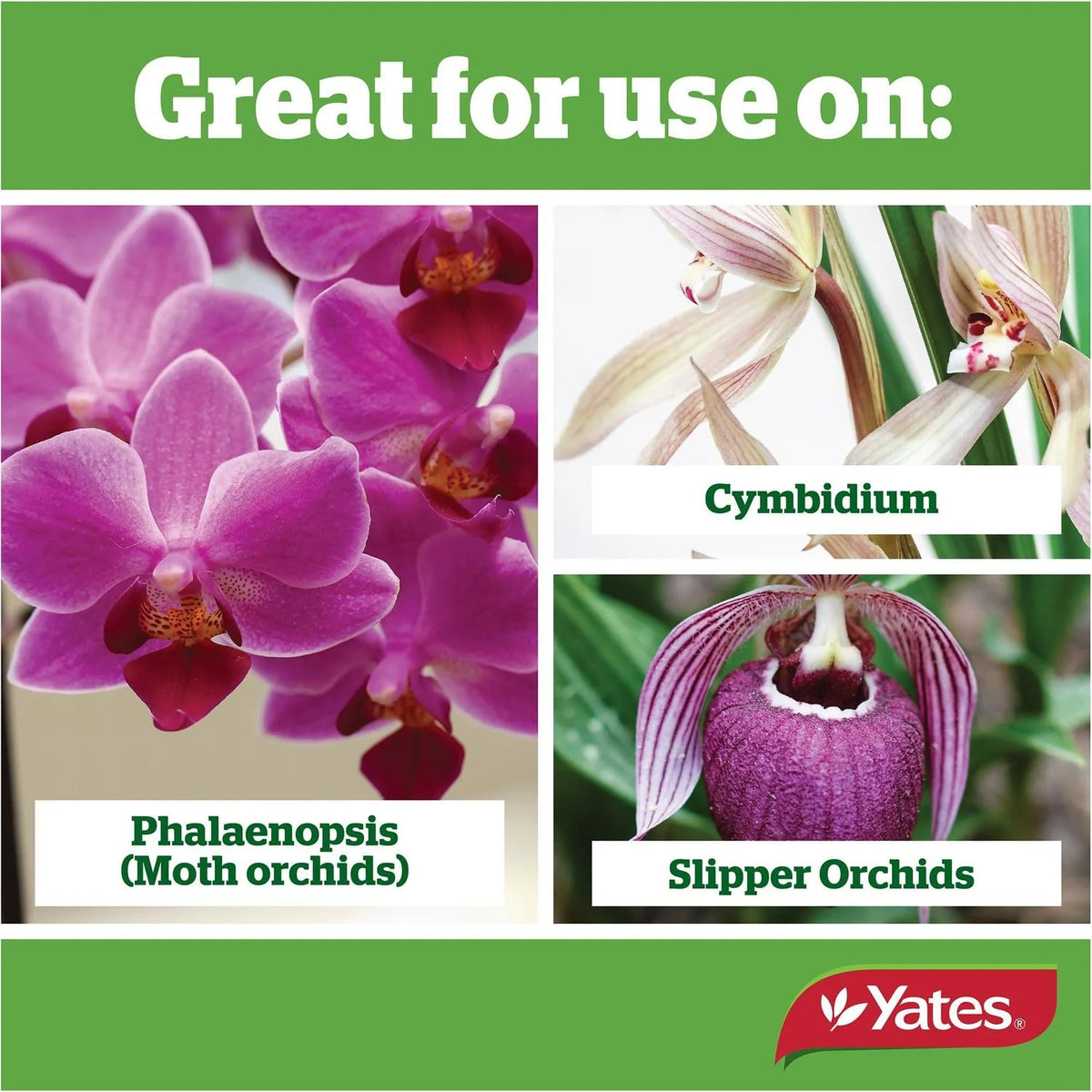 Thrive Orchid Plant Fertiliser Dripper pack of 5