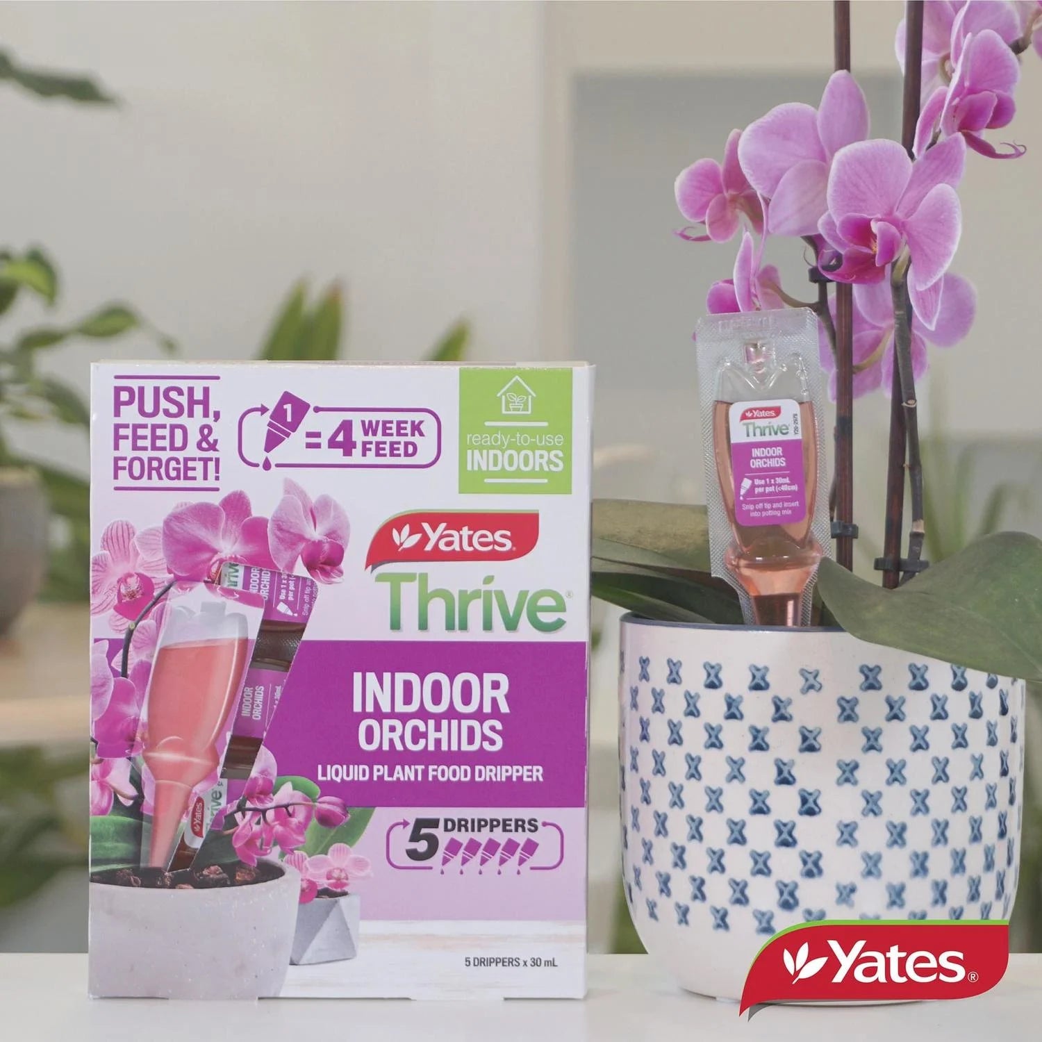 Thrive Orchid Plant Fertiliser Dripper pack of 5 - Urban Lush NZ