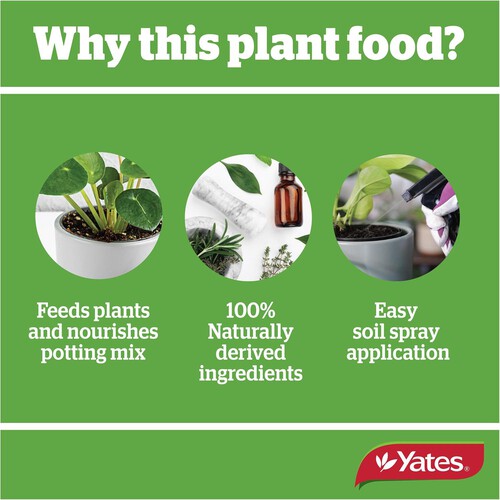 yates indoor plant food Yates | Yates Thrive Natural Indoor Spray 500ML