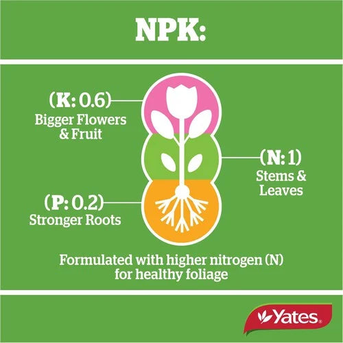 Yates Thrive Natural Indoor Spray 500ml - Urban Lush NZ