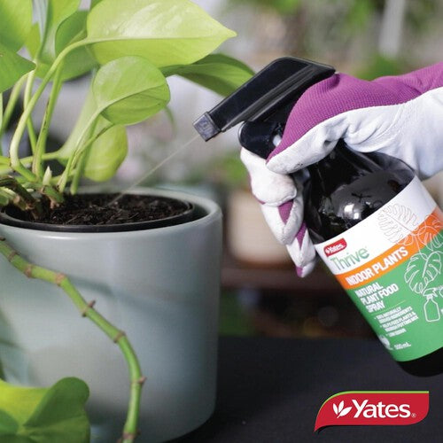 Yates Thrive Natural Indoor Spray 500ml - Urban Lush NZ