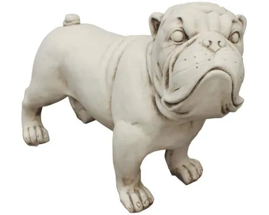 Bull Dog Statue Fibre Clay 42.5CMH - Urban Lush NZ