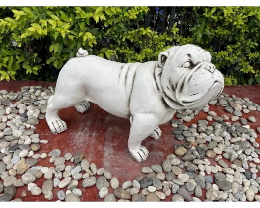 Bull Dog Statue Fibre Clay 42.5CMH - Urban Lush NZ