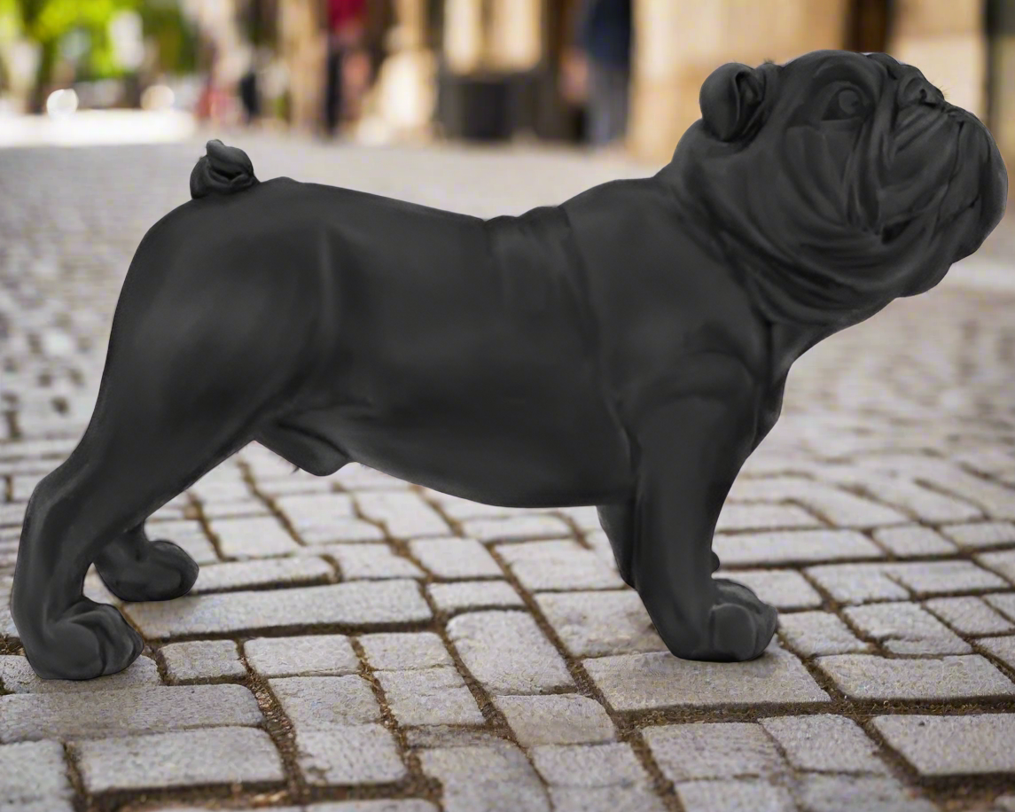 Antique Bull dog Matt Black - 23CMH - Urban Lush NZ