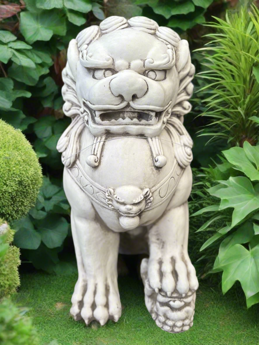 Chinese Lion Feng Shui (RIGHT) 67.5CM