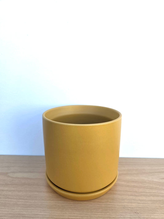 Adelle Straight Planter Pot 13.5CM - Mustard