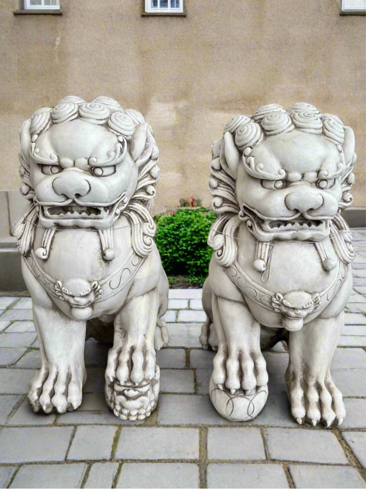 Chinese Lion Feng Shui (LEFT) 67.5CM - Urban Lush NZ
