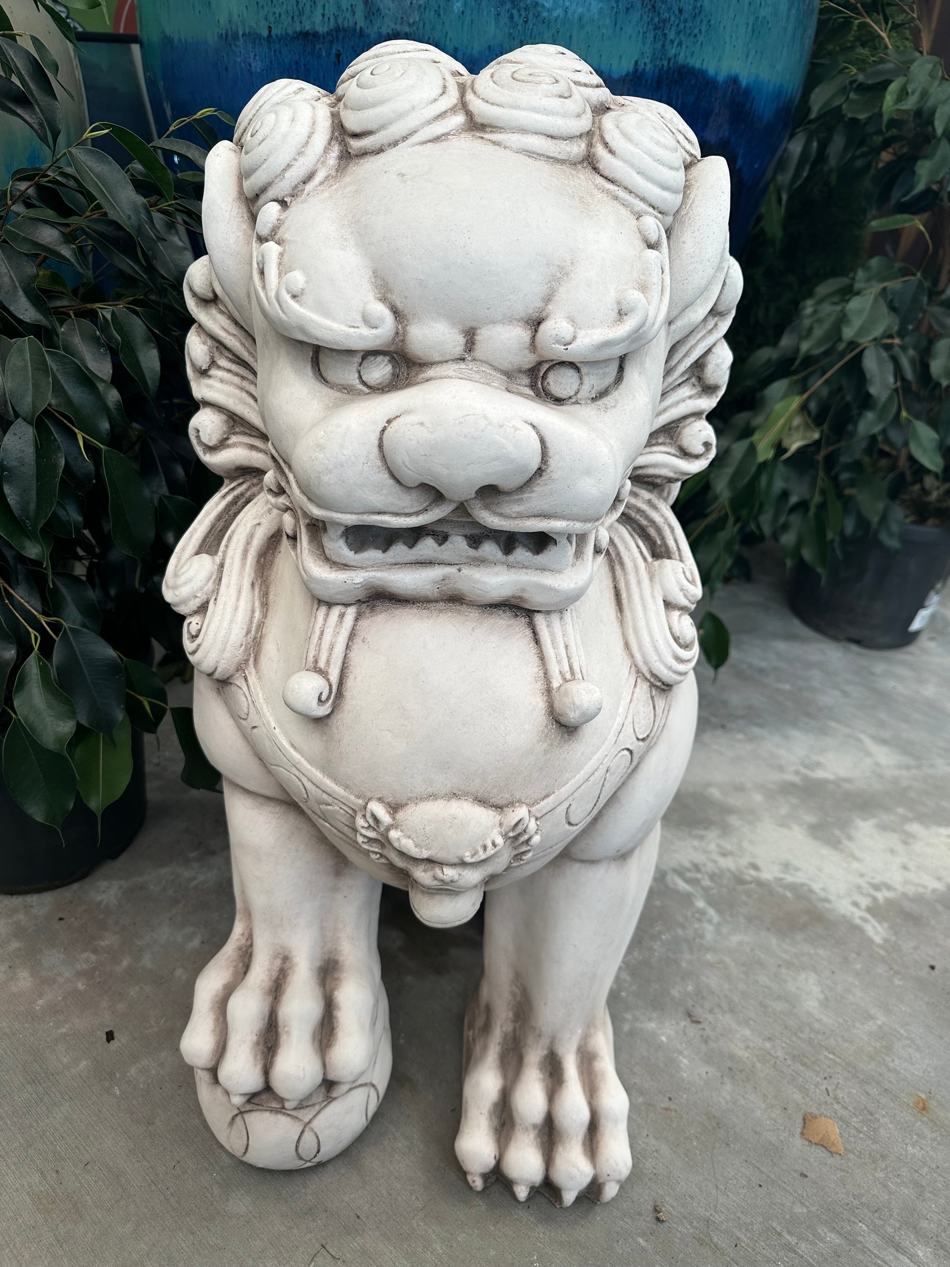 Chinese Lion Feng Shui (LEFT) 67.5CM - Urban Lush NZ