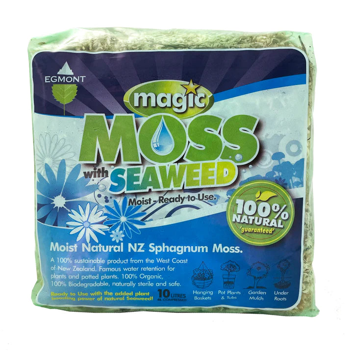 Magic Moss 10L