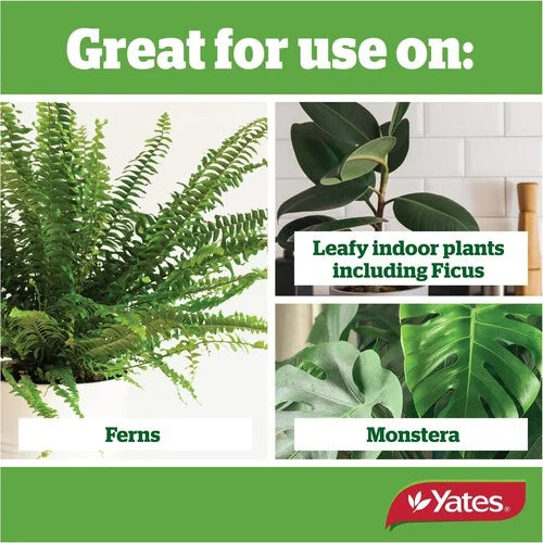 Yates Thrive Liquid Conc Indoor 500ml - Urban Lush NZ