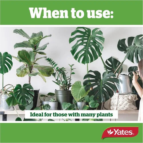 Yates Thrive Liquid Conc Indoor 500ml - Urban Lush NZ