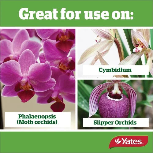 Yates Thrive Liquid Conc Orchid 500ml - Urban Lush NZ