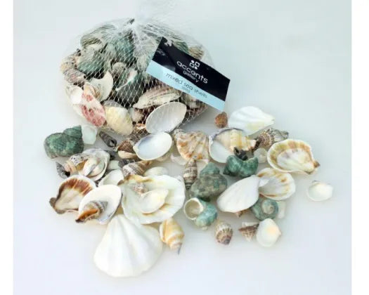 Sea Shell Mixed 3.5KG - Urban Lush NZ