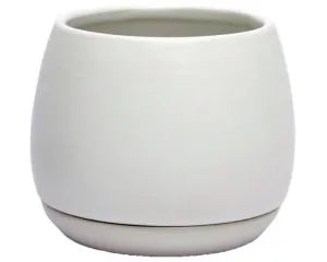 Addie Round Ceramic Planter 16.5cm - Urban Lush NZ