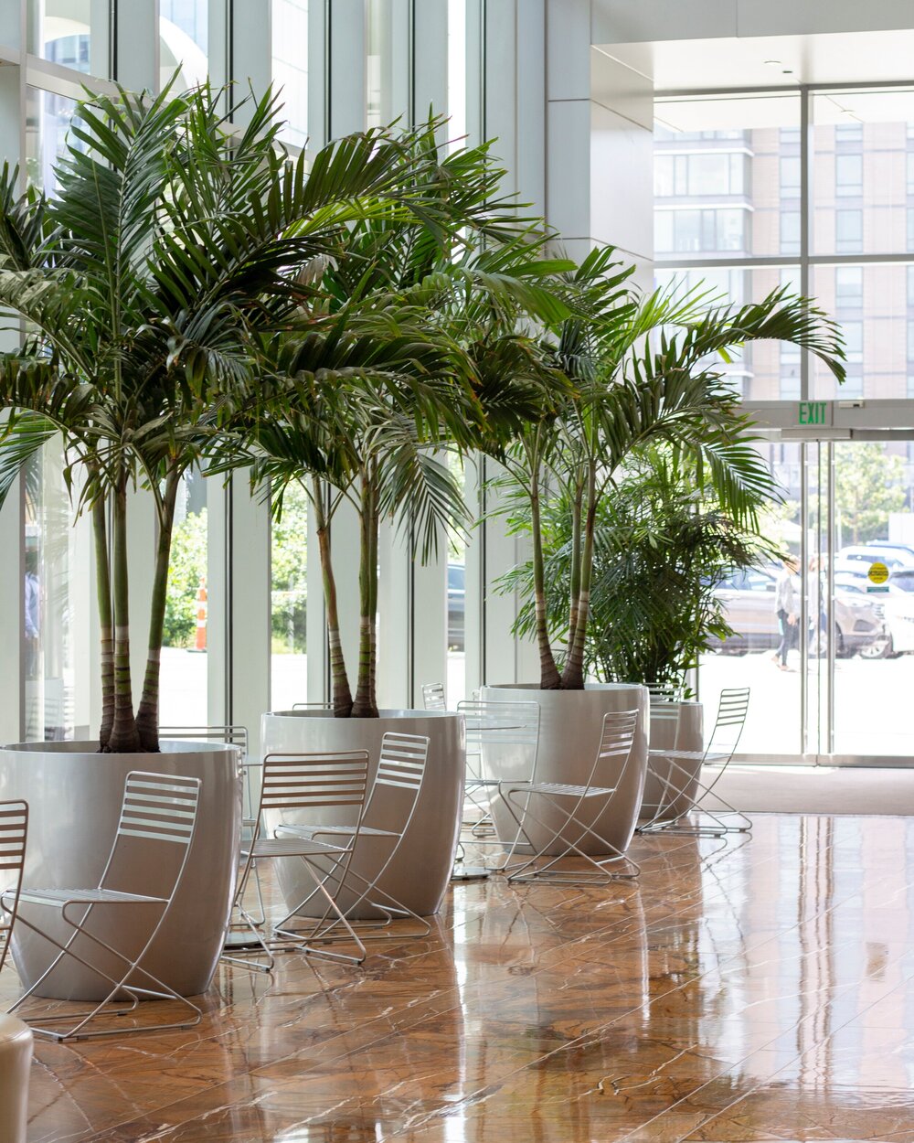 Interior Plantscaping - Urban Lush NZ