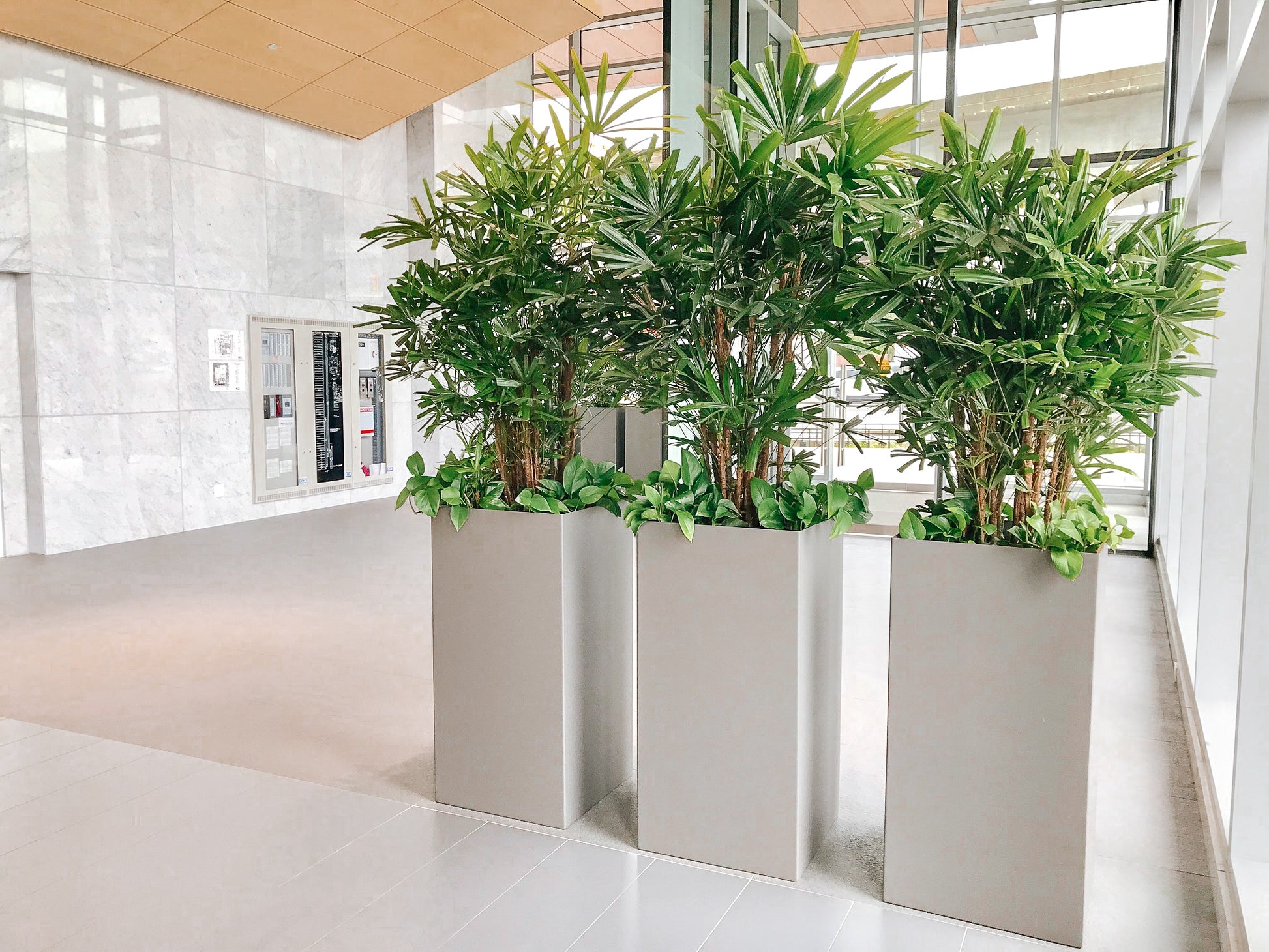 Interior Plantscaping - Urban Lush NZ